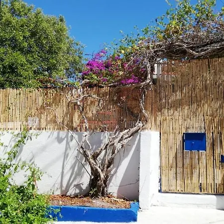 16 Casa Azul *